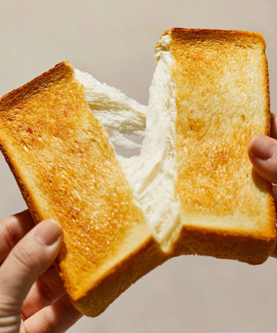 Bruno Steam & Bake Toaster in Greige
